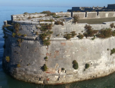 chambre d'hôtes- Ile de ré